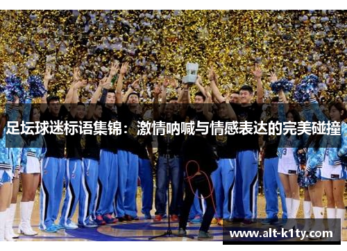 足坛球迷标语集锦：激情呐喊与情感表达的完美碰撞